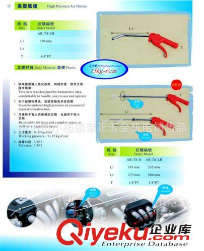 山耐斯風槍 AR-TS zp