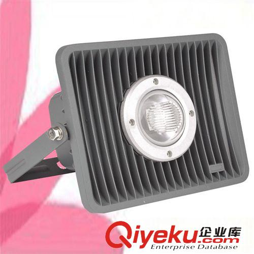 50W　LED投射燈　探照燈　投光燈　高品質　隧道照明