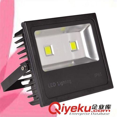 100W LED投光燈 探照燈 泛光燈 投射燈