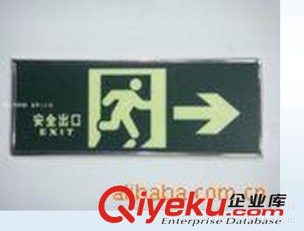 供應(yīng)消防器材  {yj}自發(fā)光應(yīng)急疏散指示牌 安全出口原始圖片2