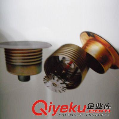 工程zg， 隱蔽式噴淋頭 灑水噴頭 量大價優(yōu) 熱銷常州 無錫 蘇州原始圖片2