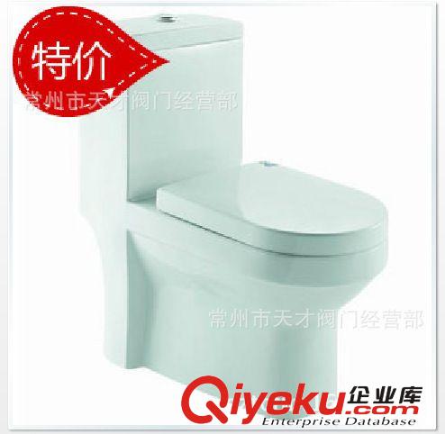 申鷺達(dá)衛(wèi)浴 噴射虹吸節(jié)水座便器坐便器馬桶LD77217A  7217A