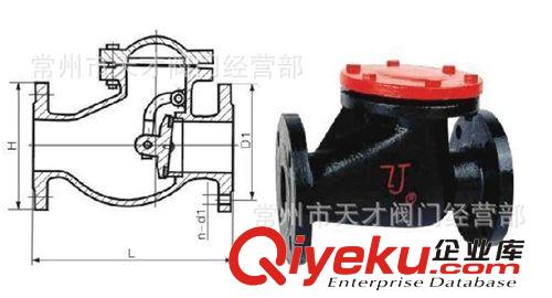 竹簀旋啟式止回閥 廠家直銷 熱銷常州 蘇州 無(wú)錫 南京 保證質(zhì)量