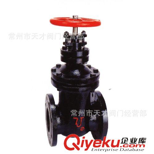 工程zg  竹簀暗桿鑄鐵法蘭閘閥 Z45T 熱銷常州 蘇州 無(wú)錫 南京