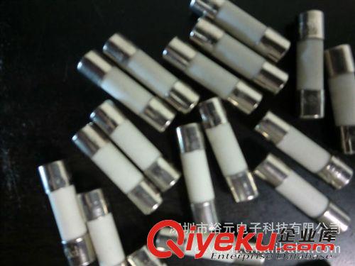 【企業(yè)集采】國(guó)產(chǎn)優(yōu)質(zhì)  3.6*10  0.5A-6.3A 陶瓷 快熔保險(xiǎn)絲 現(xiàn)貨原始圖片3