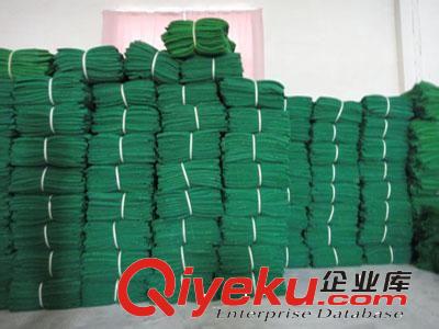 防護(hù)措施/密目安全網(wǎng)/網(wǎng)/密目網(wǎng) /安全網(wǎng)原始圖片2