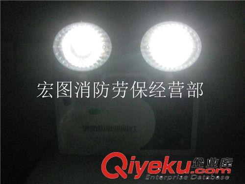 東莞LED應急燈（非標）直銷廠家 應急照明燈 帶電應急燈原始圖片3