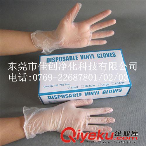 供應一次性手套PVC-東莞凈化PVC手套批發(fā)商！