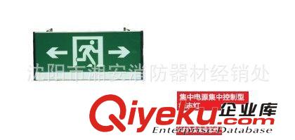 廠家生產消防照明應急燈，消防應急標志燈等