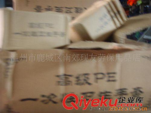 一次性手套 批發(fā)價(jià)PE手套 清潔手套 薄膜手套 透明手套食品手套原始圖片2