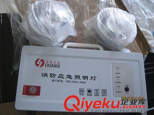 消防應(yīng)急標(biāo)志燈 消防應(yīng)急照明燈 LED光源 消防認證產(chǎn)品原始圖片2