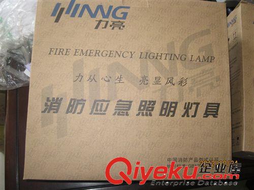 消防應(yīng)急標(biāo)志燈 消防應(yīng)急照明燈 LED光源 消防認證產(chǎn)品原始圖片3