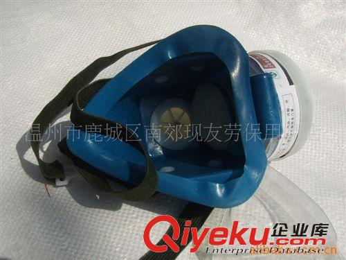 杭州藍天生力單罐防毒噴漆面具/口罩防煙/甲醛/異味/可換炭粒原始圖片3