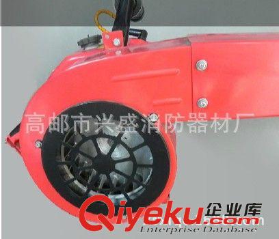 供應(yīng)風(fēng)力滅火機(jī)6mf-30 廠家直銷 森林滅火 大量供應(yīng) 高郵消防原始圖片2