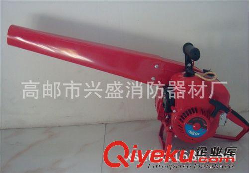 供應(yīng)風(fēng)力滅火機(jī)6mf-30 廠家直銷 森林滅火 大量供應(yīng) 高郵消防原始圖片3