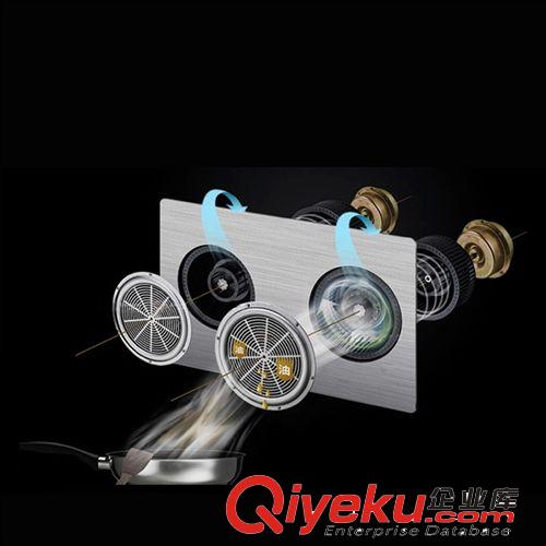 供應雙電機煙機 吸油煙機側吸 歐式抽油煙機 櫻花抽油煙機Q23原始圖片3
