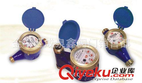 寧波水表,冷水表,LXS-15F-50F  寧波水表股份有限公司成都辦事處原始圖片3