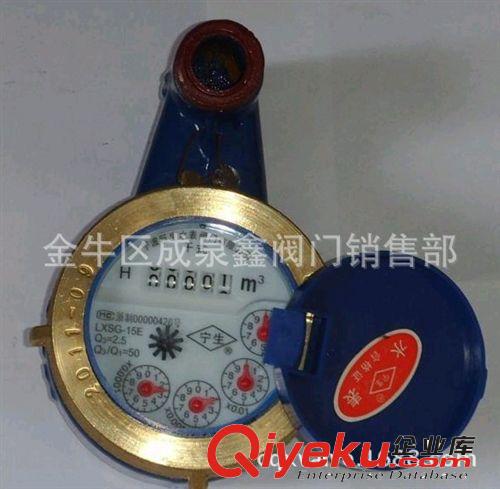 國標(biāo)銅扣立式水表,旋翼濕式立式水表LXSL-15E-25E 錦城 日月 天府原始圖片2
