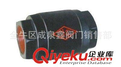 大站 天億 遠大 立式止回閥 鑄鐵螺紋立式止回閥H12T-16 DN15-D50