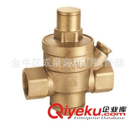 帶側(cè)口減壓閥 黃銅減壓閥 絲扣銅減壓閥 帶壓力表黃銅減壓閥原始圖片2