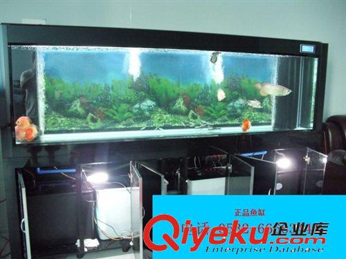 閩江下過濾生態(tài)金魚缸玻璃長方形獨立封閉式大型魚缸水族箱免換水