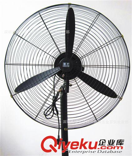 [質(zhì)優(yōu)價(jià)低]全銅機(jī)頭工業(yè)牛角扇 落地式牛角扇帶插頭，500mm工業(yè)扇原始圖片2