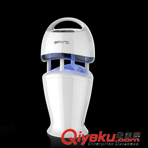 【一件代發】滅蚊燈 充電蚊燈負離子凈化空氣 PM2.5滅蚊器誘蚊燈原始圖片3