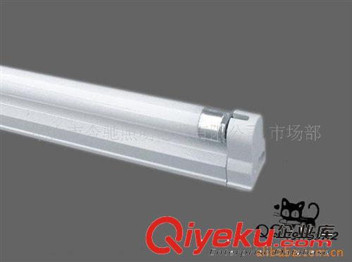 〖專業(yè)供應(yīng)〗T4電子支架燈原始圖片2