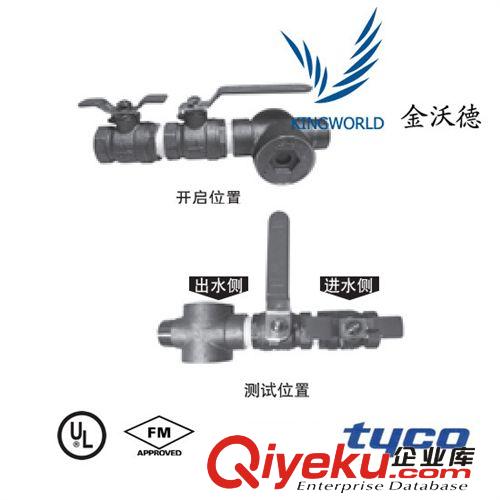 山東一級(jí)代理泰科TYCO末端測(cè)試閥   UL/ULC/FM