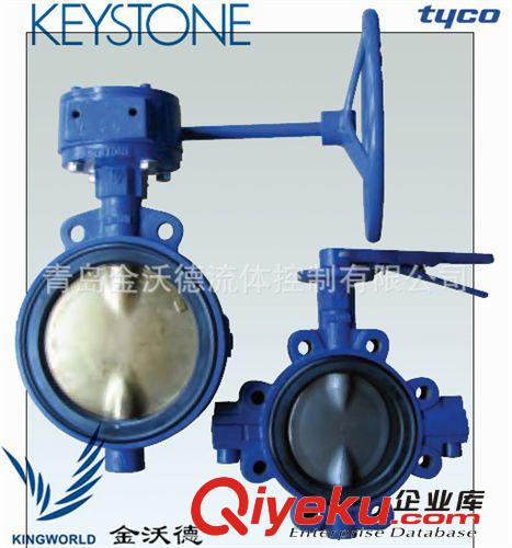 泰科 KEYSTONE F611 對夾支耳連接蝶閥 D40~D600