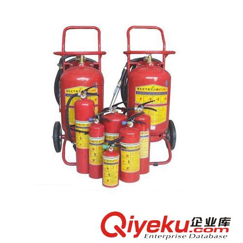 供應(yīng)手提式滅火器 干粉滅火器 汽車滅火器