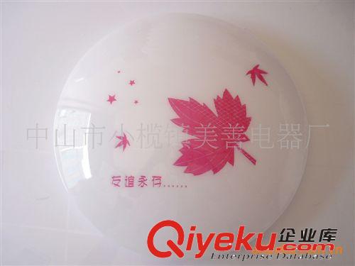 廣東中山吸頂燈工廠生產(chǎn)直銷各種規(guī)格檔次吸頂燈22/32/40W原始圖片2