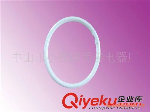 供應優質40瓦環形管鎮流器及環形燈管