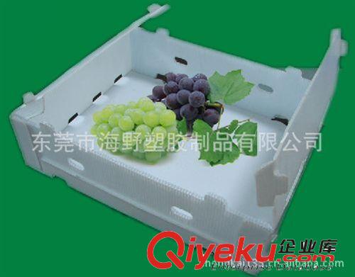 供應(yīng)中山塑料藍(lán)色中空板骨架周轉(zhuǎn)箱，塑膠刀卡，PP萬通板托盤