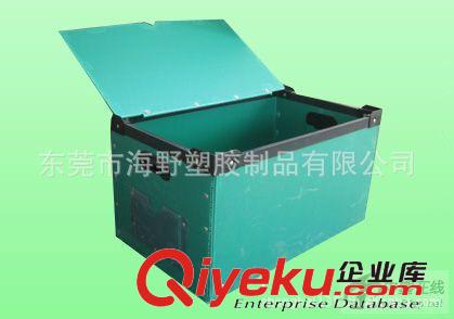 海野批發(fā)各種優(yōu)質(zhì)的多規(guī)格塑料中空板周轉(zhuǎn)箱  PP板周轉(zhuǎn)箱原始圖片2