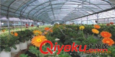 供應PE陽光板,PE陽光中空板，環保陽光板溫室大棚
