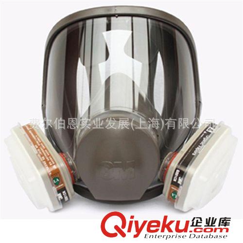 防護面罩原始圖片2