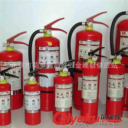 現貨供應 家用滅火器汽車滅火器 車用滅火器 年檢必備 量大從優原始圖片2