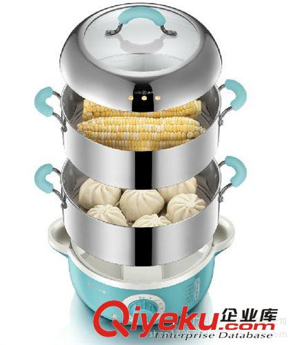 DZG240小熊不銹鋼雙層電蒸鍋原始圖片3