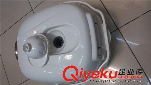 伊萊克斯 EGRC300 液晶微電腦電飯煲 伊萊克斯電飯煲 廣州禮品原始圖片3