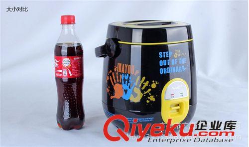 A313艾納優(yōu)運(yùn)動(dòng)風(fēng)1.6L不沾2-3人份迷你電飯鍋