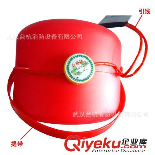 成威MCW泡沫劑 4L自動(dòng)滅火器 自爆家用/車用滅火器 zptj