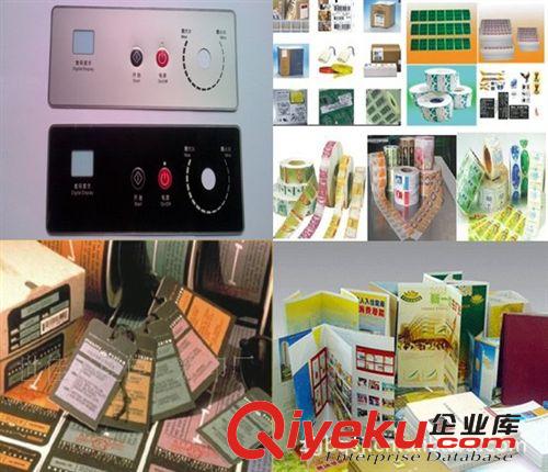 【BQ】不干膠標(biāo)簽供應(yīng) 彩色卷筒不干膠 不干膠貼紙