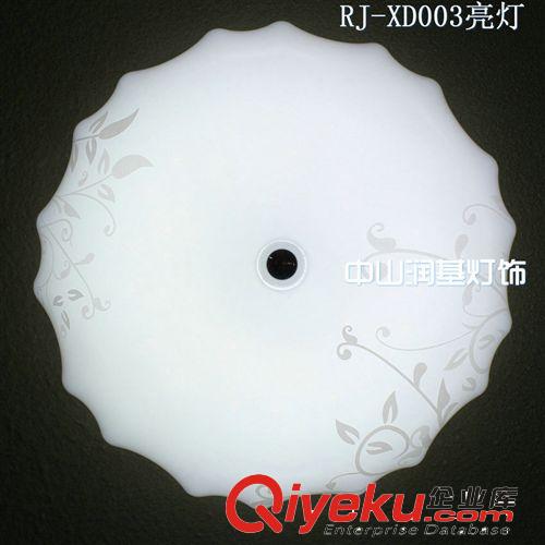 廠家供應(yīng) led吸頂燈套件 led吸頂燈燈具批發(fā) 吸頂燈罩RJ-XD019