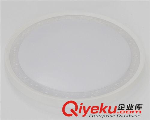 廠家直銷 LED吸頂燈 LED臥室吸頂燈  圓形現代簡約RJ-XD101原始圖片3