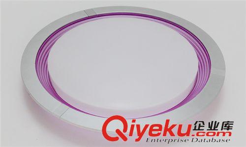 廠家直銷 LED吸頂燈 LED臥室吸頂燈  圓形現(xiàn)代簡約RJ-XD108（銀）原始圖片2
