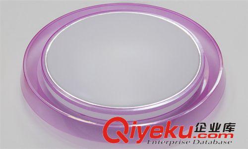廠家直銷 LED吸頂燈 LED臥室吸頂燈  圓形現代簡約RJ-XD104