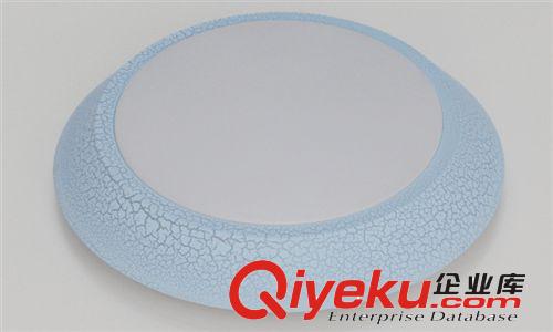 廠家直銷 LED吸頂燈 LED臥室吸頂燈  圓形現代簡約RJ-XD110原始圖片3