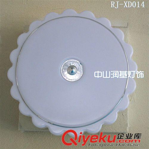 廠家直銷led光源 吸頂燈外殼套件 吸頂燈燈罩 供應(yīng)RJ-XD024吸頂燈