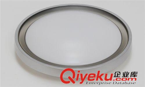 廠家直銷 LED吸頂燈 LED臥室吸頂燈  圓形現代簡約RJ-XD107（銀）